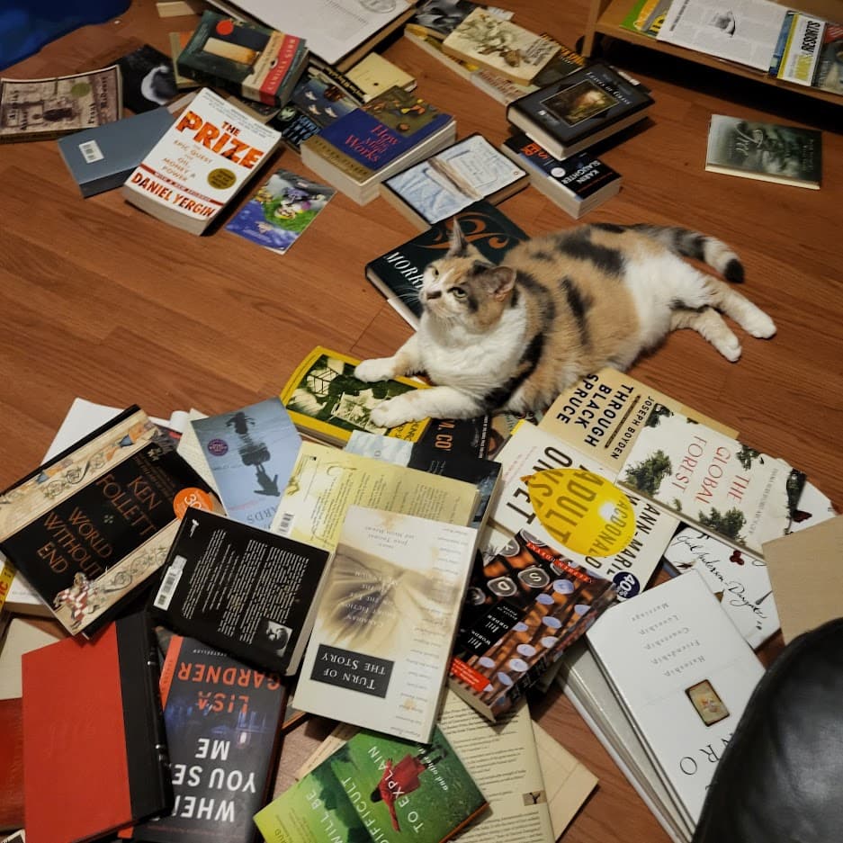 A picture of Spot, my calico cat, sitting with various books strewn about.